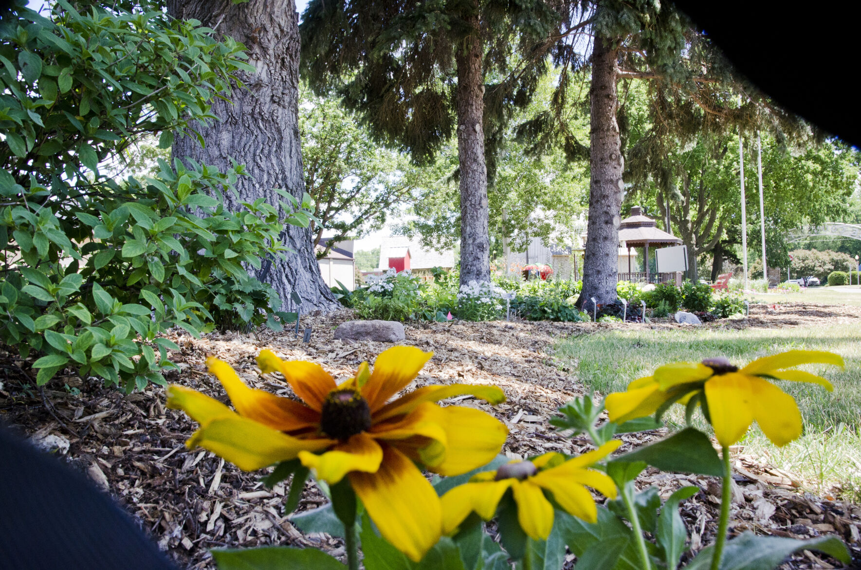 Teaching garden_7.jpg
